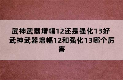 武神武器增幅12还是强化13好 武神武器增幅12和强化13哪个厉害